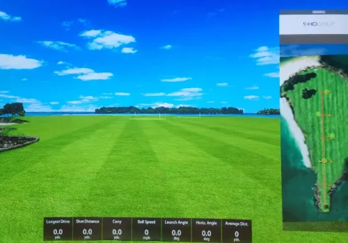 Golf simulator screen close up